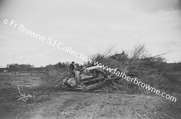 BULLDOZER  CLEARING SCRUB AND TREES  NEAR LAKE